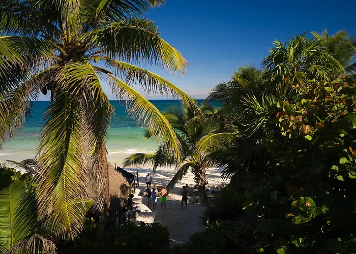 Hotel Libelula Beachfront
