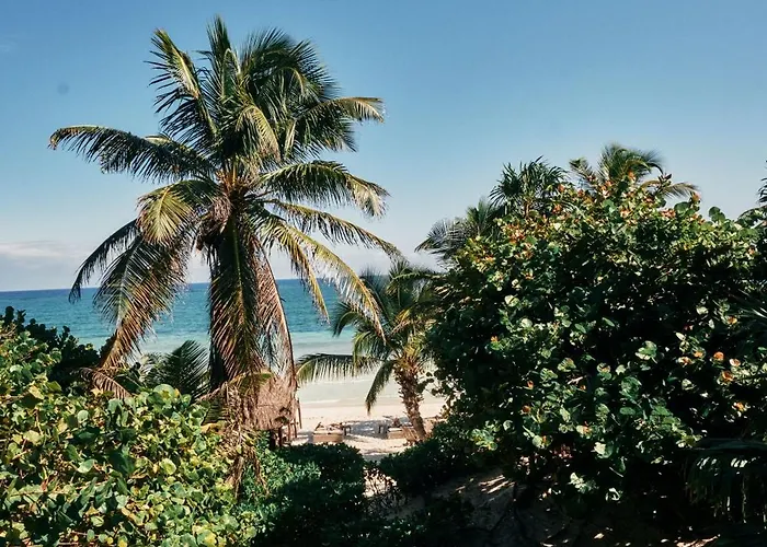 Libelula Beachfront 4* Tulum