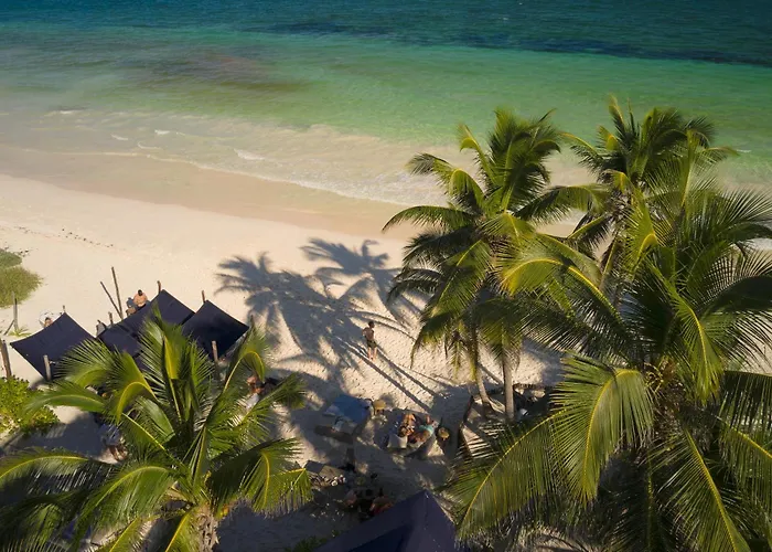 Libelula Beachfront