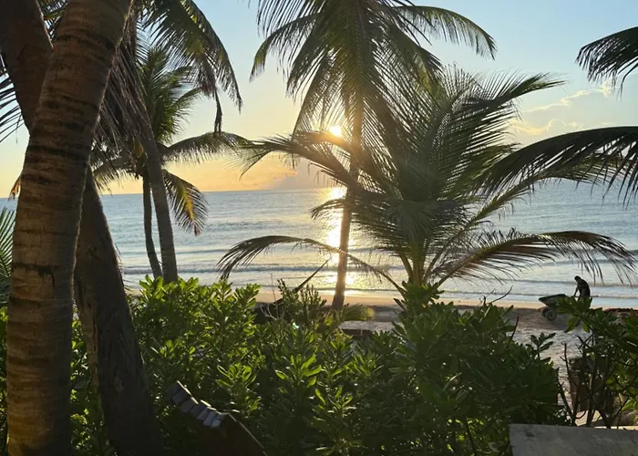 Hotel Libelula Beachfront 4*