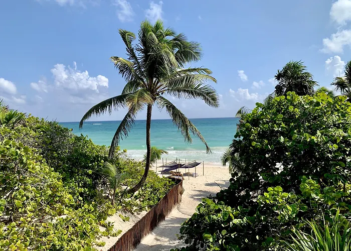 Libelula Beachfront 4* Tulum