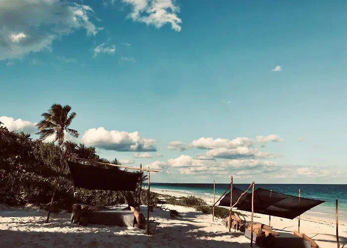 Libelula Beachfront Hotel 4*
