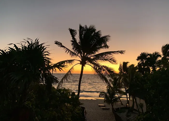 Hotel Libelula Beachfront