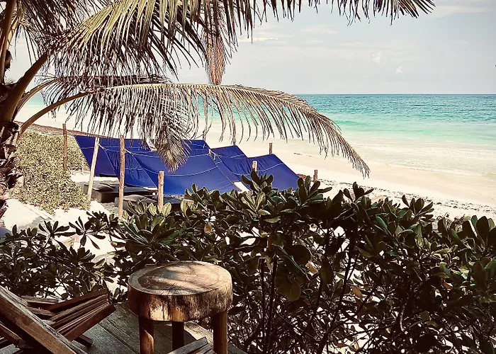 Hotel Libelula Beachfront 4*